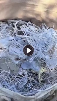 长期出售abs机头料,现货12吨左右