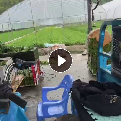 出售废旧大棚膜，私人场地，几十亩地的，未压包