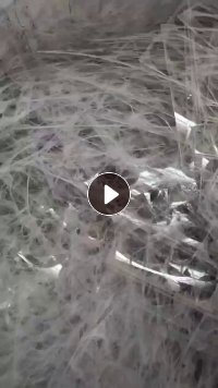 长期出售各种PC薄片，PC油墨料