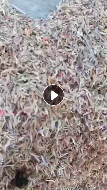 大量收购封边条毛料和封边条沫子，安徽周边月用千吨价格合适装车打款