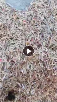 大量收购封边条毛料和封边条沫子,安徽周边月用千吨价格合适装车打款
