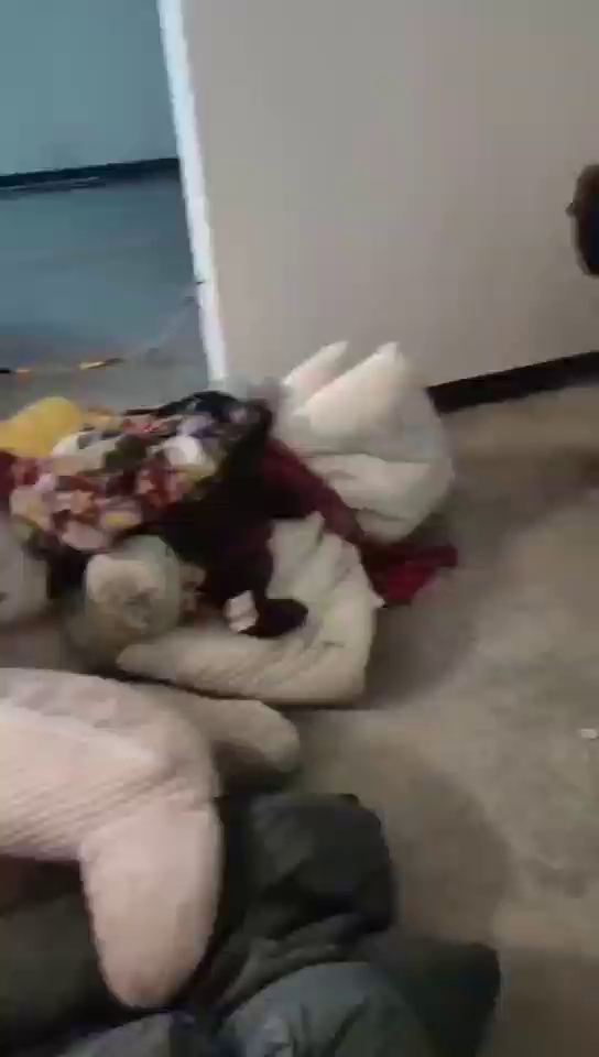 长期出售棉被统货，丝绵被，老棉被，古棉都有， 厂在广东韶关