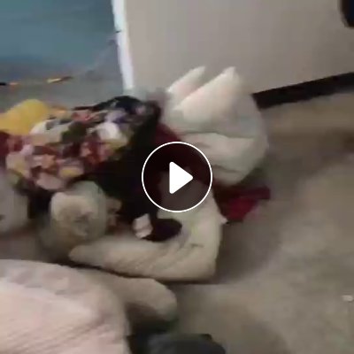 长期出售棉被统货，丝绵被，老棉被，古棉都有， 厂在广东韶关