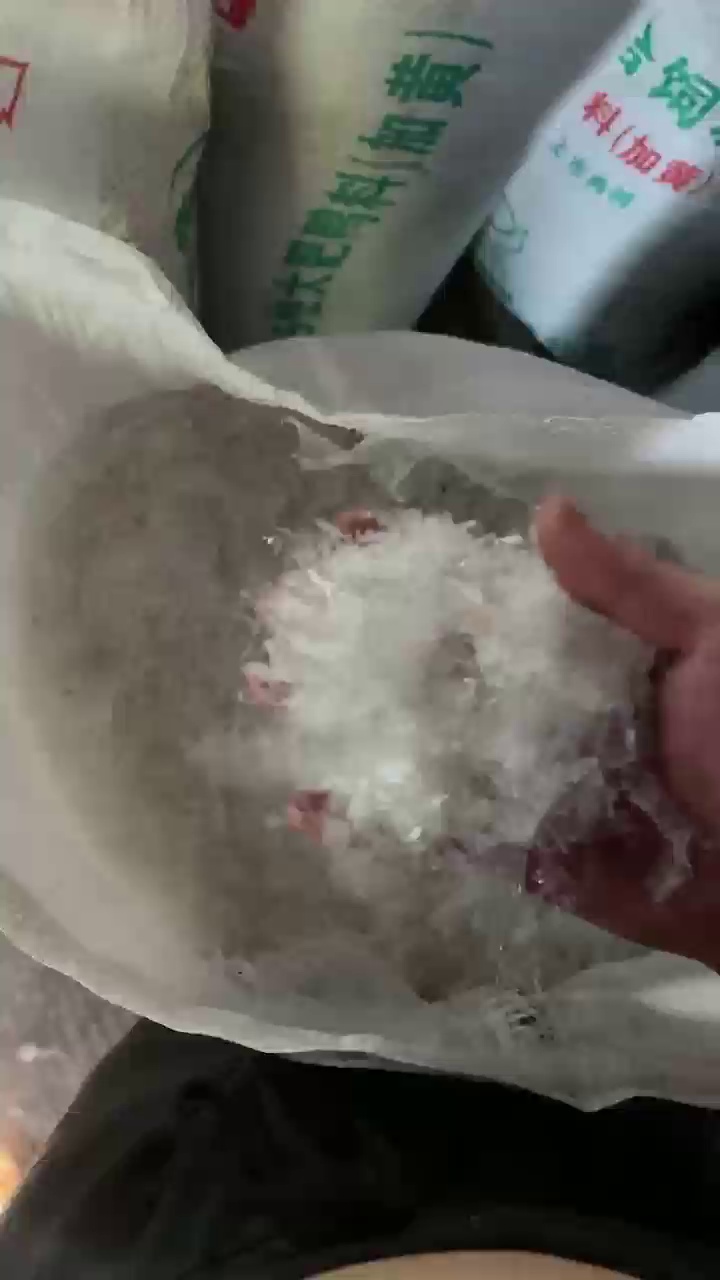 出售透明PP餐盒破碎料，冷洗的，月供200吨