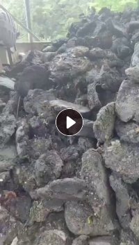 长期出售纸厂排渣料,月供一百多吨