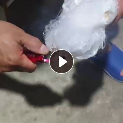 长期出售化纤厂拉坏的涤纶废丝，现货13米一车，厂在福建福州