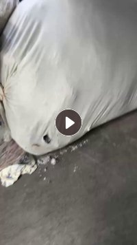 长期出售纯棉的磨毛料，现货9.6一车，厂在河南新乡