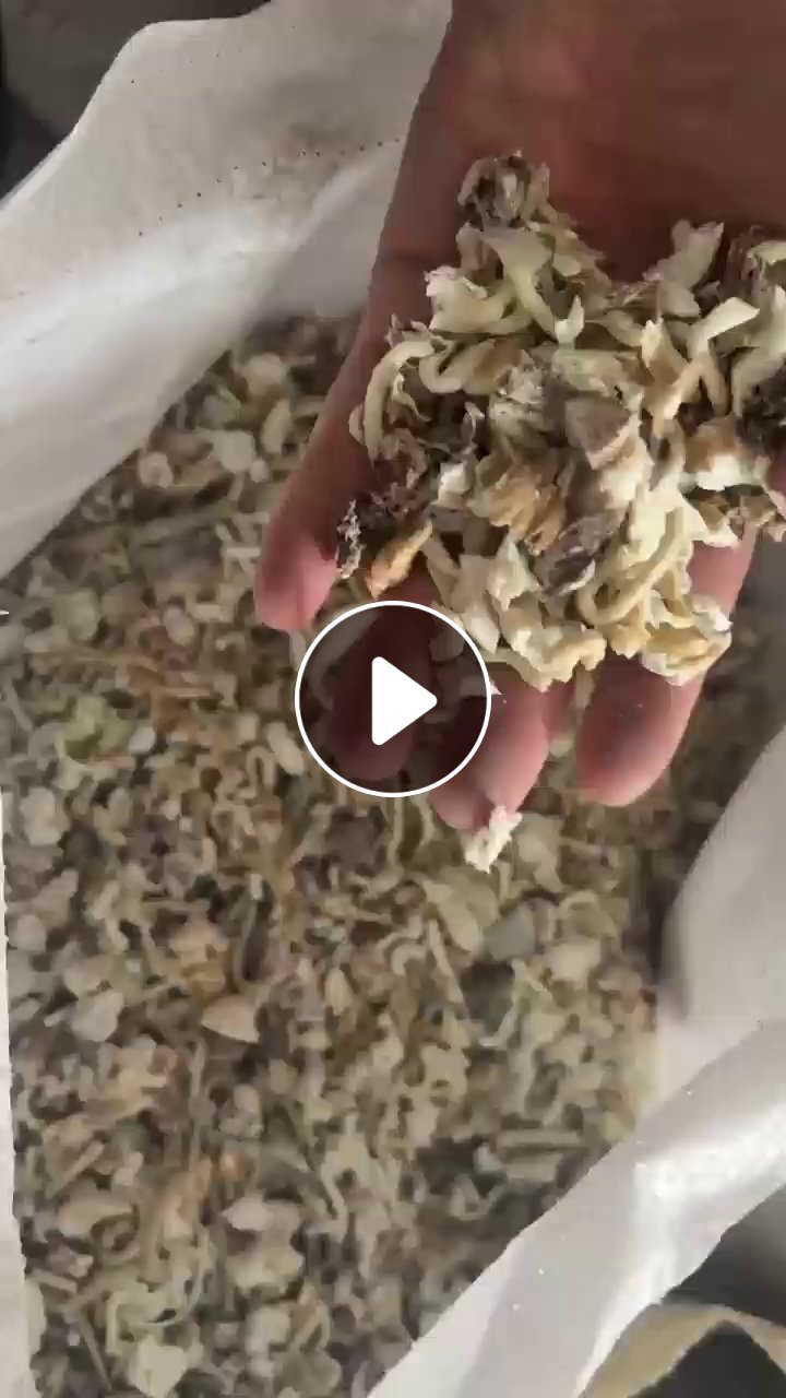 出售尼龙pa66胶条破碎料，粉末料，月供200吨