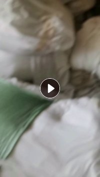 长期出售磨毛厂下来白色涤纶废布,磨毛布,含水分,一个半月有20吨左右,货在浙江湖州