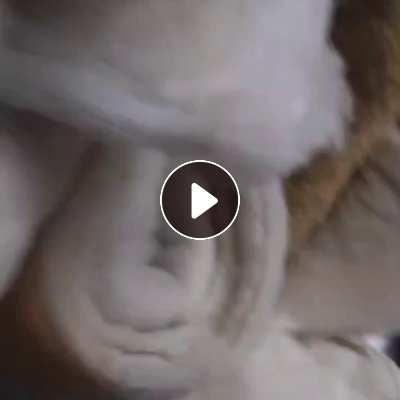 长期出售剥好的丝绵被，丝绵下脚料，丝绵，货在江西抚州