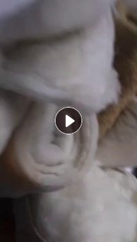 长期出售剥好的丝绵被，丝绵下脚料，丝绵，货在江西抚州