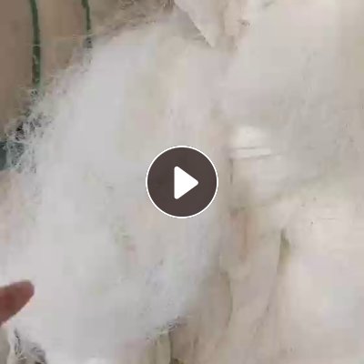 出售FDY涤纶废丝，现货10多吨， 厂在浙江杭州