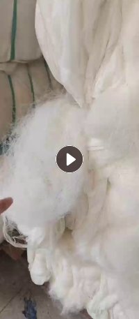 出售FDY涤纶废丝,现货10多吨, 厂在浙江杭州