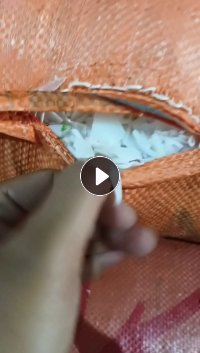出售PE酱油壶破碎料,可直接上机造粒,现货三四十吨,海南海口