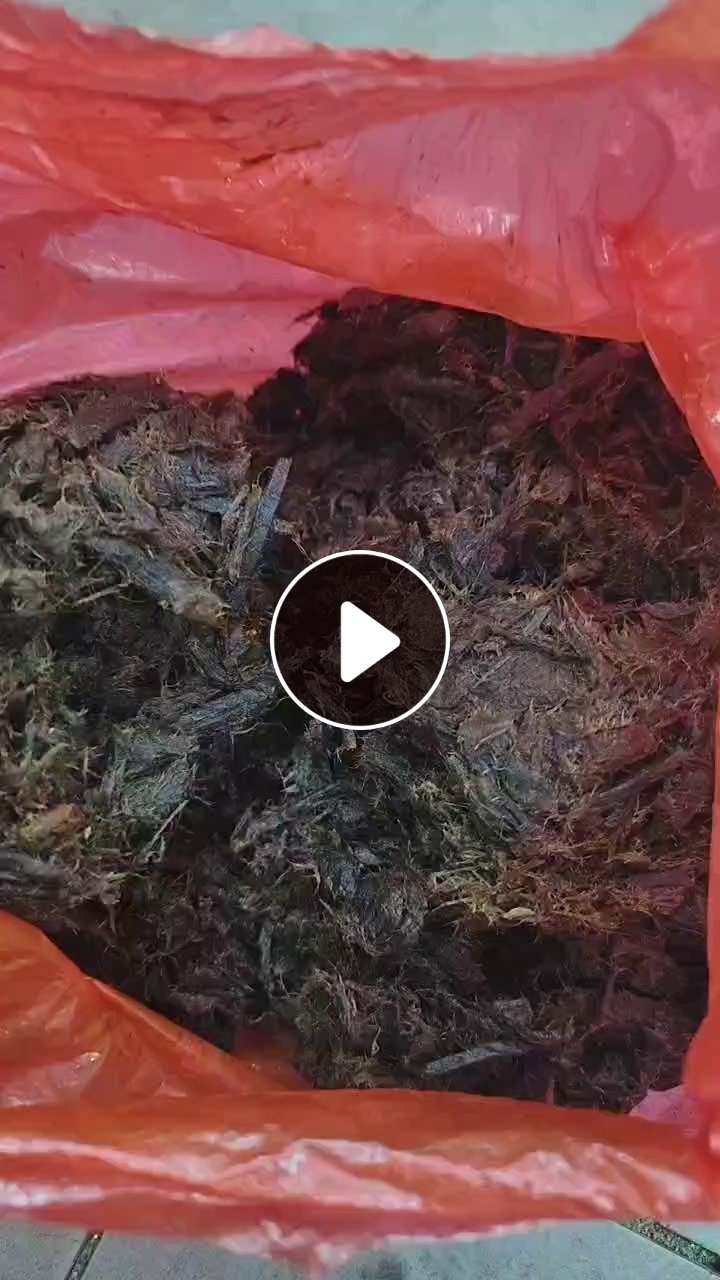 大量出售浆渣，干后是黄色的
