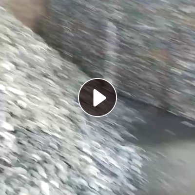长期出售铝易拉罐压块