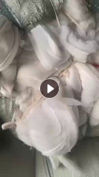 长期出售丝绵下脚料带纯棉白色针织布,丝绵是涤纶材质的,现货十多吨,厂在河南安阳