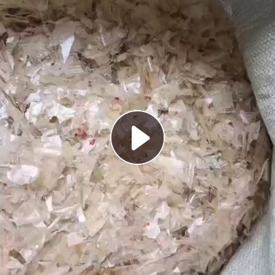 长期大量出售餐盒破碎料