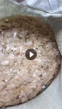 长期大量出售餐盒破碎料