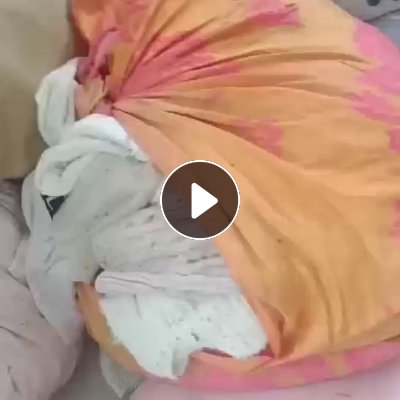 长期出售白色毛衣，现货6米8一车，可以开花用，货在山东菏泽