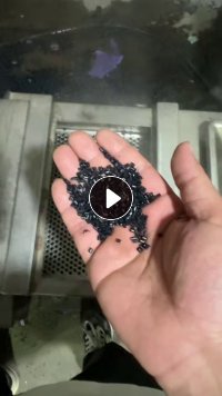 PA6尼龙颗粒 厂家直销