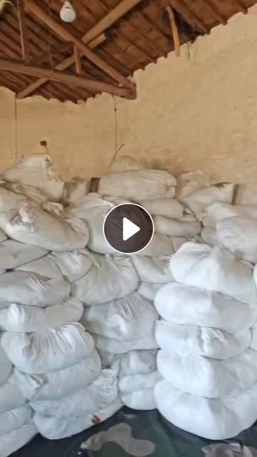 长期出售磨毛厂下来的白色涤纶废布，含水不到20