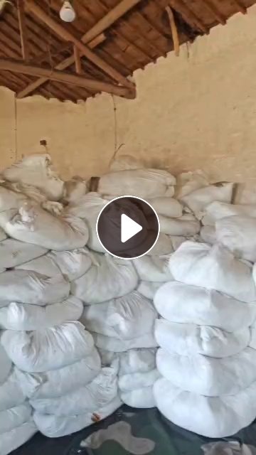 长期出售磨毛厂下来的白色涤纶废布，含水不到20