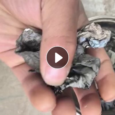 出售电子厂下来的PET镀铝膜废料，卷筒和压包料都有，月供20吨