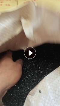 长期大量出售pc/abs合金颗粒 防火着火都有