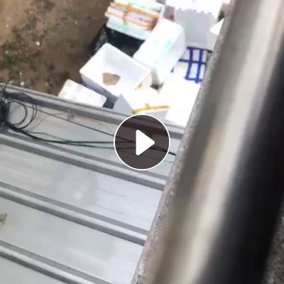 长期出售泡沫箱