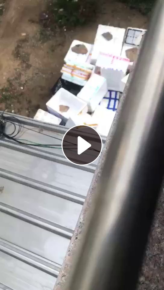长期出售泡沫箱