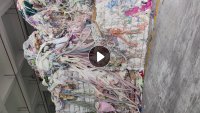 大量收涤纶浅色碎布,涤纶废布,要求无棉,无浆