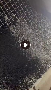 长期出售PP打包带颗粒,过30目,可做风扇底座,填充,雨水收集器,打铸件等,月供600吨
