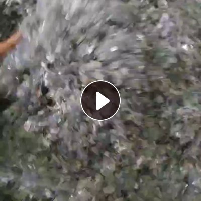 长期出售PVC铝材膜破碎料   每月150吨左右