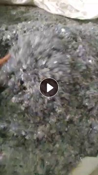 长期出售PVC铝材膜破碎料 每月150吨左右