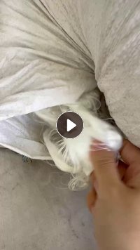 纺纱厂长期出售涤纶废丝，重丝，现货3-4吨左右，厂在安徽安庆