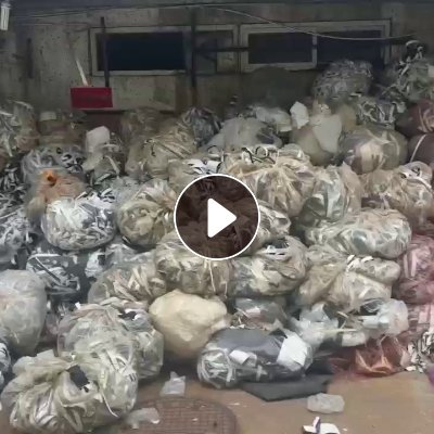 长期出售eva带胶膜，干净的