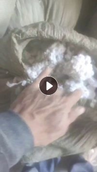 长期出售毛毛料，磨毛料，有涤棉和纯棉的，货在山东潍坊