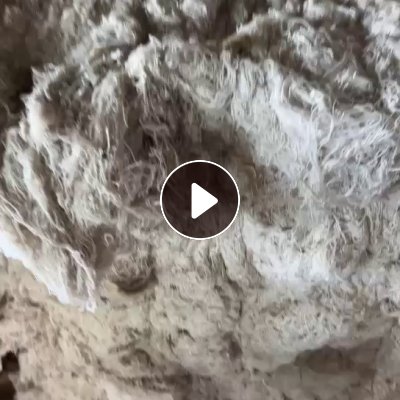 长期出售涤麻回丝，涤麻丝，85涤15棉，现货四吨左右，货在安徽砀山