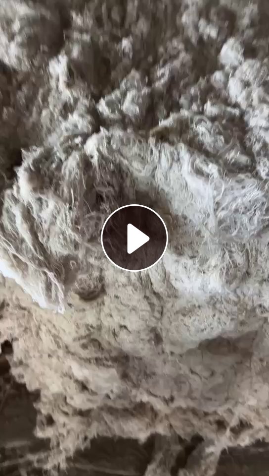 长期出售涤麻回丝，涤麻丝，85涤15棉，现货四吨左右，货在安徽砀山