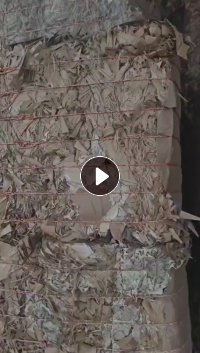 长期出售本色口杯纸边角料