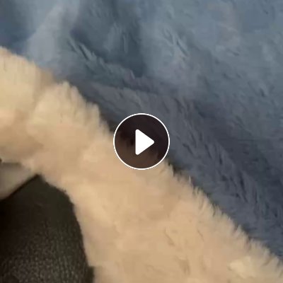 娃娃厂长期大量收购兔绒库存布， 做娃娃用的，价格合适多少量都要，厂在河南商丘