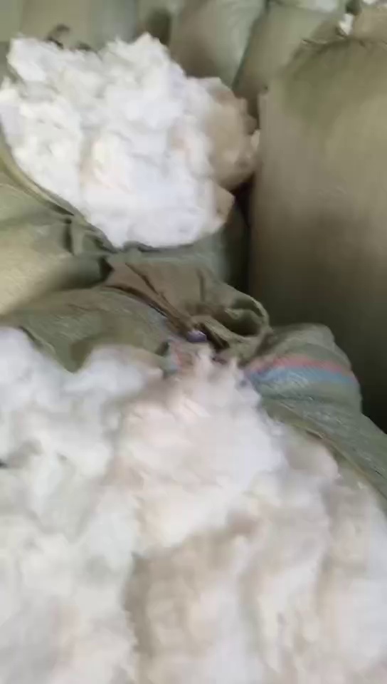 长期出售涤纶毛毛料。带水下来的， 每个月30-40吨，厂在浙江杭州