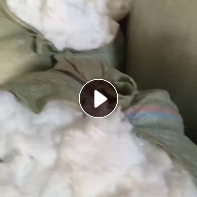 长期出售涤纶毛毛料。带水下来的， 每个月30-40吨，厂在浙江杭州