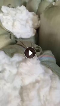 长期出售涤纶毛毛料。带水下来的， 每个月30-40吨，厂在浙江杭州