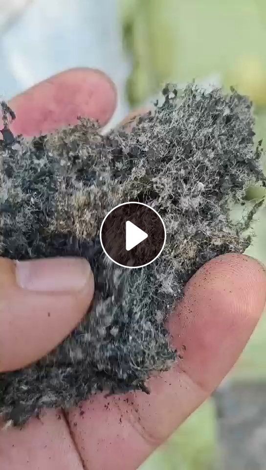长期出售轮胎加工下来的尼龙线毛毛料，现货40-50吨，热值6000多卡