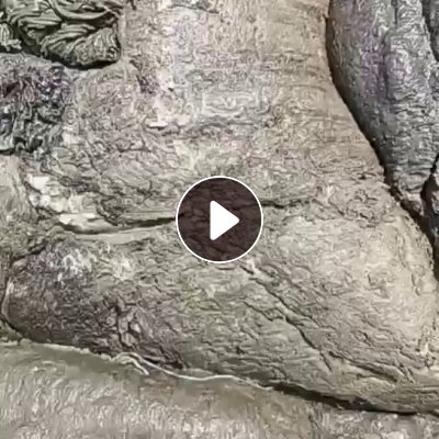 常年出售造粒厂下来的PE机头料