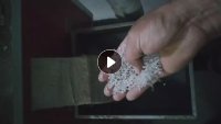 出售珍珠棉颗粒