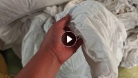 长期大量出售酒店布草,床单被罩,白布,货在河北唐山