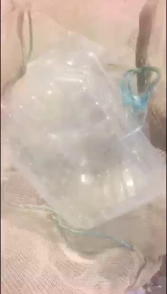 出售PET餐盒压块